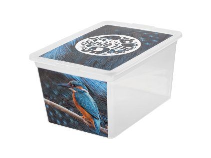 Box s víkem X Box Deco Ledňáček 15 l BRANQ