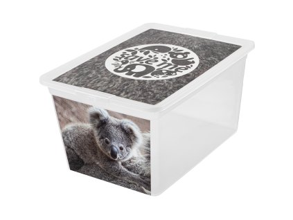 Box s víkem X Box Deco Koala 30 l BRANQ