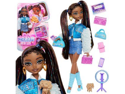 Panenka Mattel Barbie Dream Besties Brooklyn s doplňky