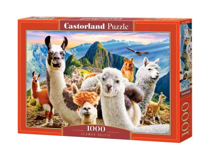 Puzzle Lamy Selfie 1000 dílků