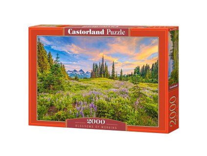 Puzzle Ranní květy 2000 dílků