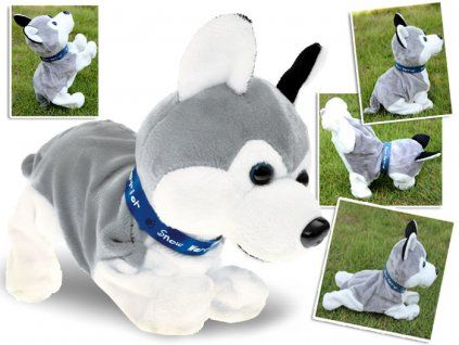 Interaktivní pejsek Husky reagující na dotek