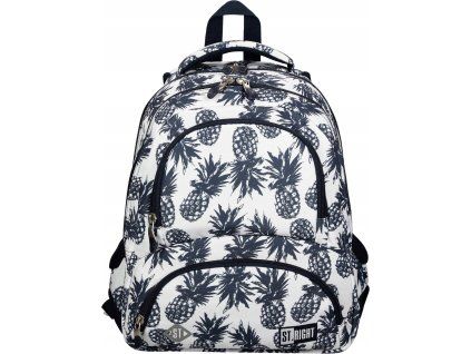 batoh ctyrkomorovy pineapple
