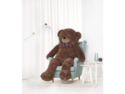 Hans170brown web