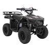 Benzínová čtyřkolka SIRIUS 49 ccm Černá