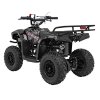 Benzínová čtyřkolka SIRIUS 49 ccm Černá 6