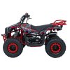 Benzínová čtyřkolka SIRIUS 49 ccm Červená 4