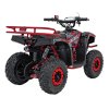 Benzínová čtyřkolka SIRIUS 49 ccm Červená 8