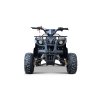 Benzínová čtyřkolka WILDPEAK 110 ccm černá