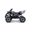 Benzínová čtyřkolka WILDPEAK 110 ccm černá