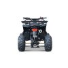 Benzínová čtyřkolka WILDPEAK 110 ccm černá