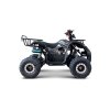 Benzínová čtyřkolka WILDPEAK 110 ccm černá