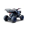 Benzínová čtyřkolka WILDPEAK 110 ccm Modrá 8