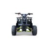 Benzínová čtyřkolka WILDPEAK 110 ccm Zelená 3