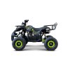 Benzínová čtyřkolka WILDPEAK 110 ccm Zelená 4
