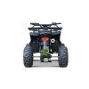 Benzínová čtyřkolka WILDPEAK 110 ccm Zelená 6