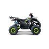 Benzínová čtyřkolka WILDPEAK 110 ccm Zelená 7