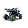 Benzínová čtyřkolka WILDPEAK 110 ccm Zelená