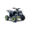 Benzínová čtyřkolka WILDPEAK 110 ccm Zelená
