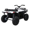 Elektrický quad WOLF 4x4 ATV Bílý