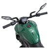 Elektrická motorka Ducati Diavel x Bentley Zelená