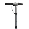 Koloběžka SPORTRIKE Stříbrná 14