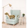Plyšový dinosaurus Largo 35 cm zelený 2