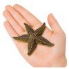 Figurka Hvězdice Gumová Pružná 9,5 cm 2