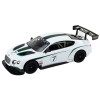 Sportovní RC auto Bentley Continental GT3 1:14 bílé