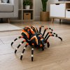 RC model pavouk tarantule dálkově ovládaný infračervený černý