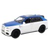 RC auto 1:20 Bílo-modré