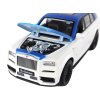 RC auto 1:20 Bílo-modré