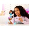 Panenka Mattel Barbie Dream Besties Brooklyn s doplňky