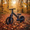 Odrážedlo Trike Fix Glow LED granátové 12