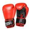 Společenská hra Boxerský sportovní set Rukavice Tréninková lapa 2v1 MUAY THAI 2