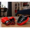 Společenská hra Boxerský sportovní set Rukavice Tréninková lapa 2v1 MUAY THAI 5