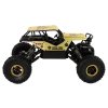 RC auto 1:18 Vysoká kola Plastové Černo-zlaté