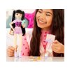 Panenka Mattel Barbie Dream Besties Redee s doplňky