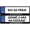 Vlastní SPZ s nápisem na elektrické autíčko 2