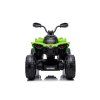 Dětská elektrická čtyřkolka Can-Am Renegade 180W 4x4 zelená 6