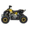 Dětská benzínová čtyřkolka RENEGADE HighPer 110CC žlutá 3