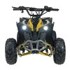 Dětská benzínová čtyřkolka RENEGADE HighPer 110 ccm žlutá 3