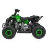 Dětská benzínová čtyřkolka RENEGADE HighPer 110 ccm zelená 5