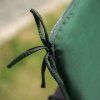Sada sedáků na houpačku / lavici Girona 5 cm D001-32PB PATIO 3