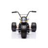 Dětská elektrická motorka LL6688 24V 2x800W modrá 4