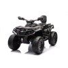 Dětská elektrická čtyřkolka Can-Am Outlander ATV 4x200W černá 28