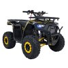 Dětská benzínová čtyřkolka 120ccm DISCOVERER žlutá 2