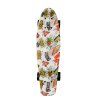 aga skateboard 2