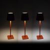 Aga LED Stolní lampa DS2406 Oranžová 2