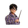 Harry Potter – Harry a Ron na cestě do Bradavic